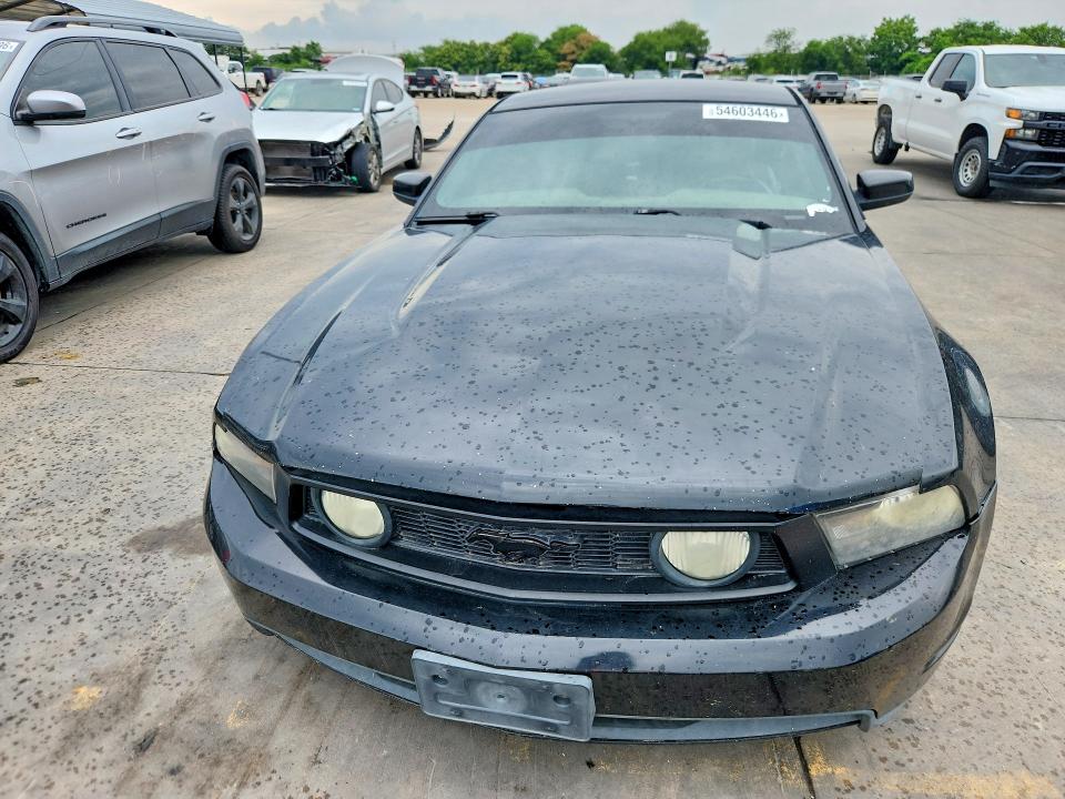 54603446 :رقم المزاد ، 1ZVBP8CH8A5141436 vin ، 2010 Ford Mustang مزاد بيع