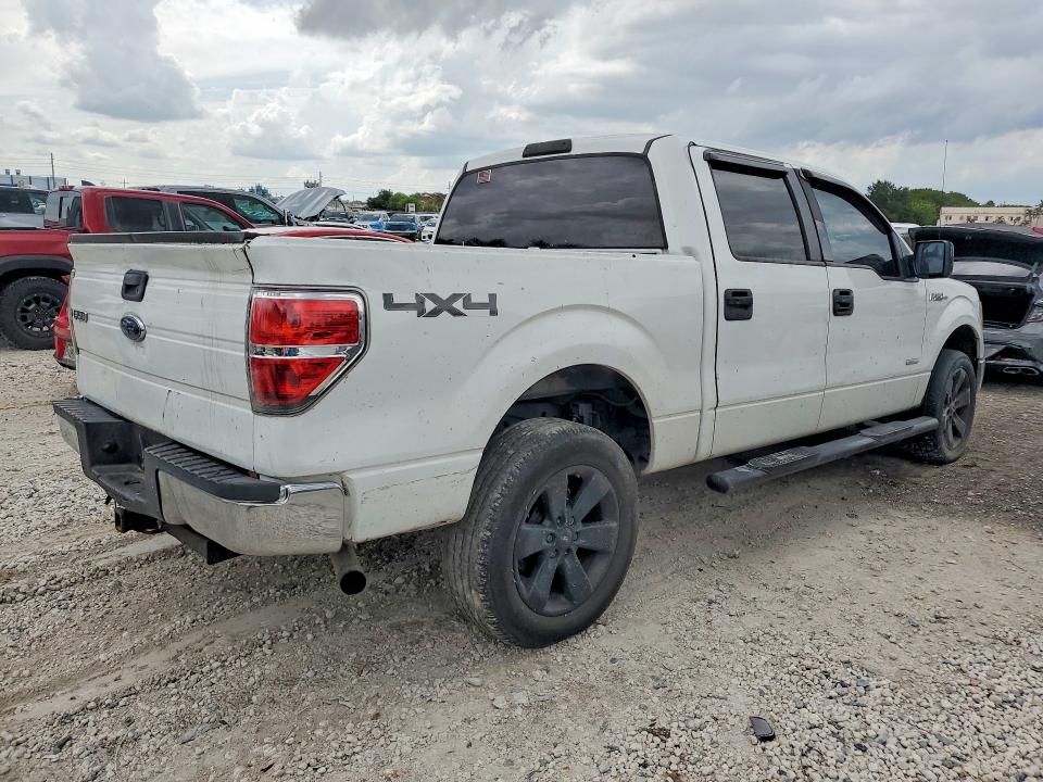 53753806 :رقم المزاد ، 1FTFW1ET2DFB31421 vin ، 2013 Ford F150 مزاد بيع