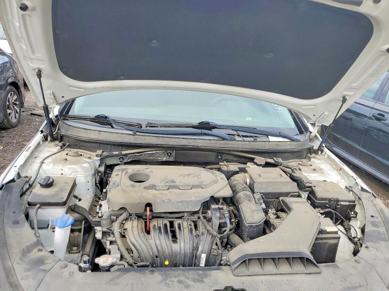 Aukcja sprzedaży 2019 Hyundai Sonata, vin: 5NPE24AF2KH796783, numer aukcji: 55264986