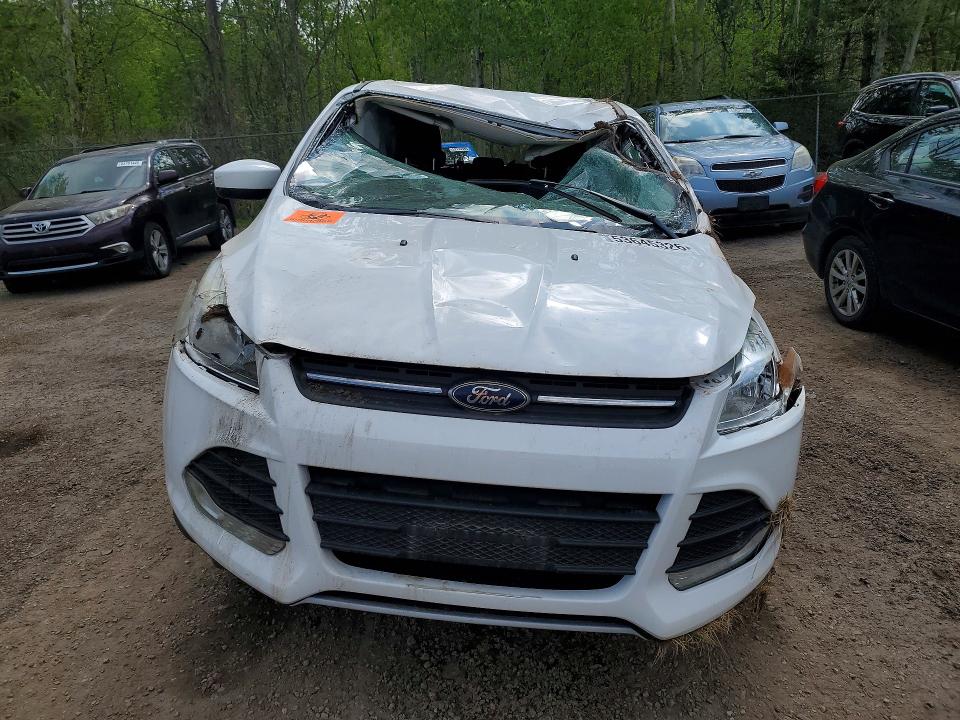 53645326 :رقم المزاد ، 1FMCU0GXXGUA33249 vin ، 2016 Ford Escape مزاد بيع