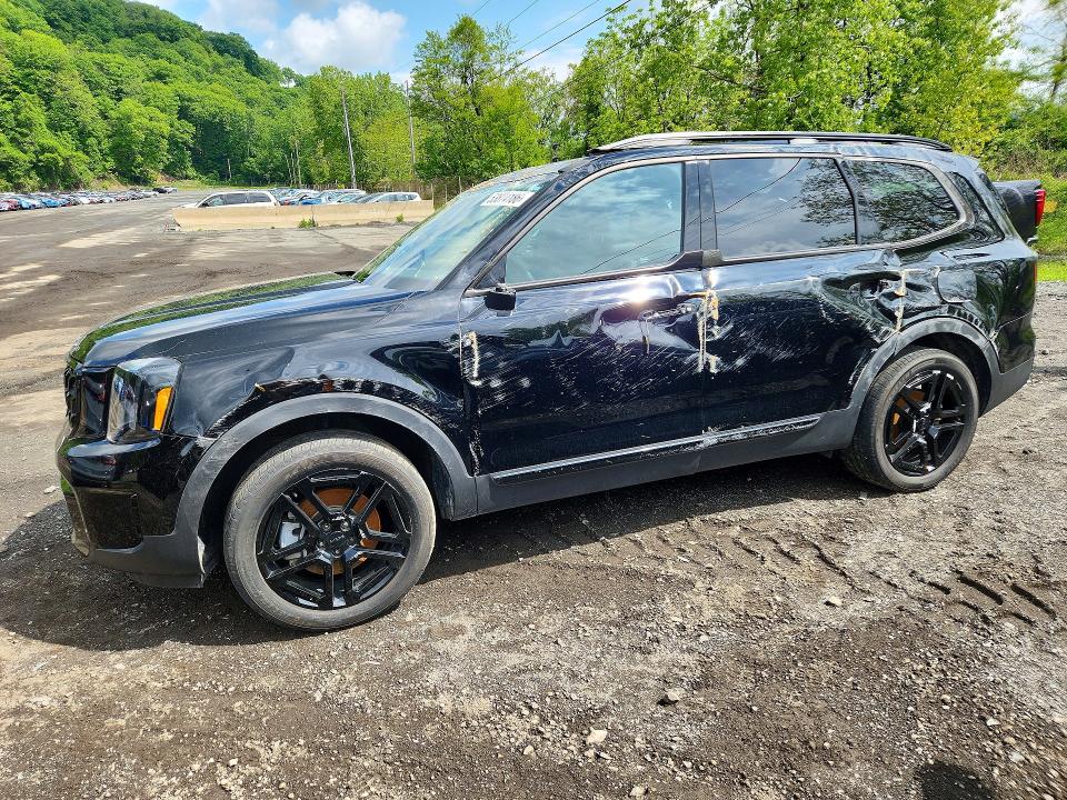 Продажа на аукционе авто 2025 Kia Telluride, vin: 5XYP3DGC2SG570236, номер лота: 53874186
