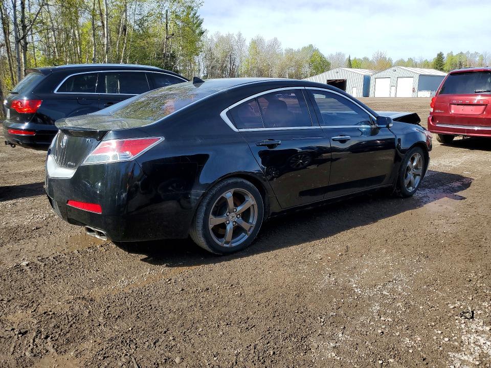 Продаж на аукціоні авто 2011 Acura Tl, vin: 19UUA9F54BA800207, номер лоту: 53338616