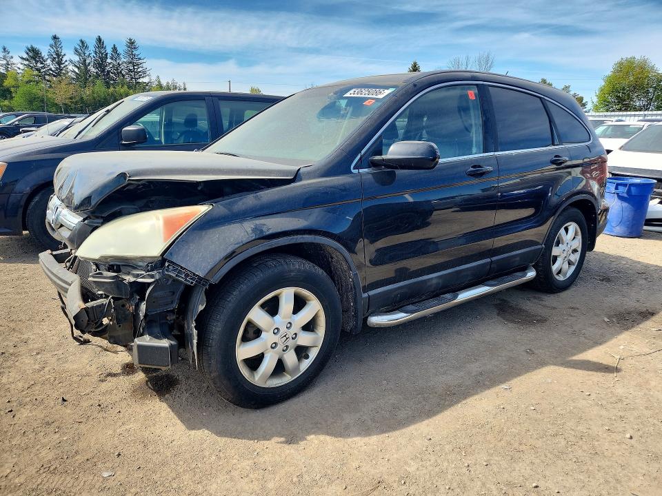 Продаж на аукціоні авто 2009 Honda Cr-v, vin: 5J6RE48769L804276, номер лоту: 53625086