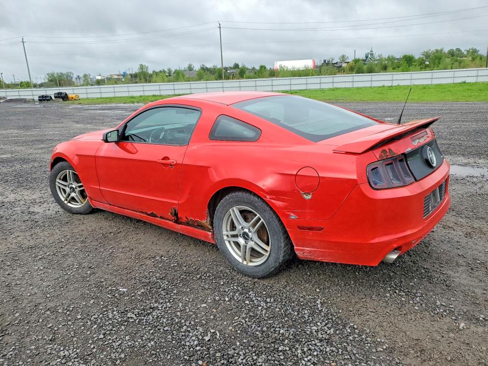 Aukcja sprzedaży 2014 Ford Mustang, vin: 1ZVBP8AM8E5244250, numer aukcji: 55000566