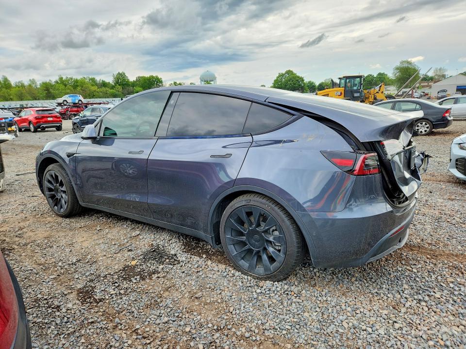 Продаж на аукціоні авто 2021 Tesla Model Y, vin: 5YJYGDEE8MF241337, номер лоту: 53281416