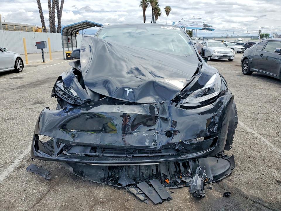 Продаж на аукціоні авто 2024 Tesla Model Y, vin: 7SAYGDEF3RF053392, номер лоту: 52191956