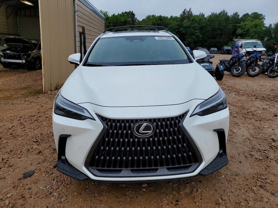 Продаж на аукціоні авто 2025 Lexus Nx, vin: JTJHGCEZ6S2022578, номер лоту: 53970286