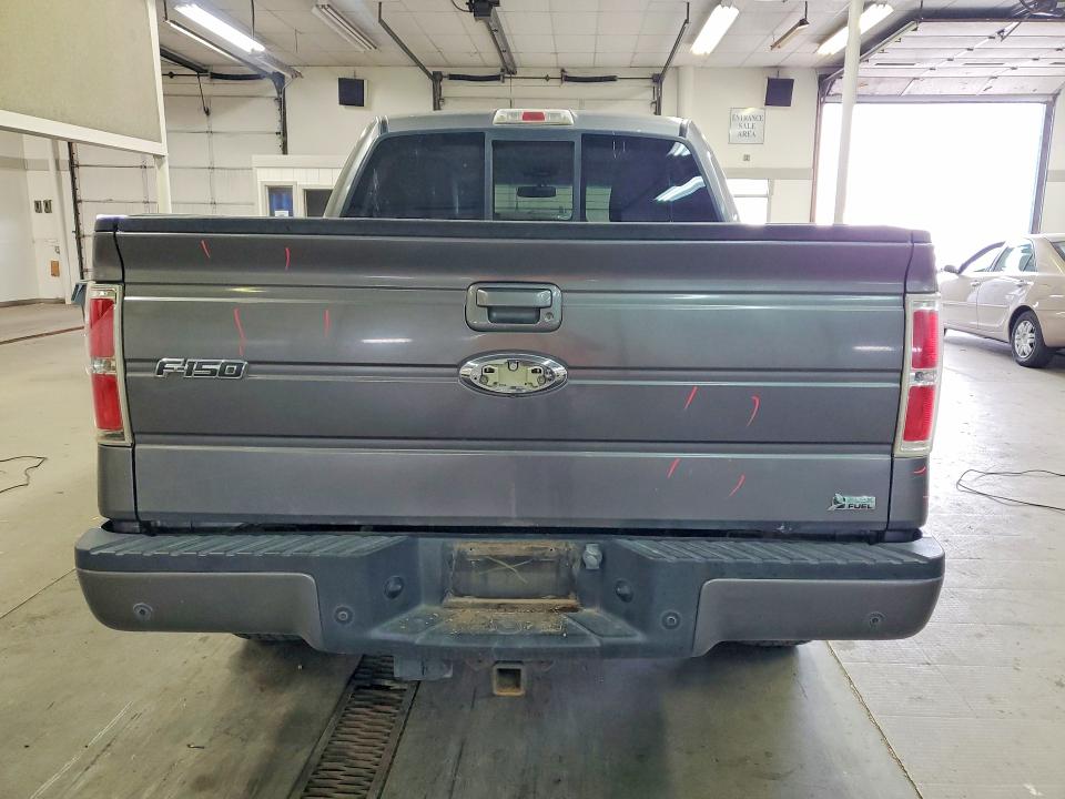 Продаж на аукціоні авто 2010 Ford F150, vin: 1FTFW1EV2AFC18555, номер лоту: 53564856