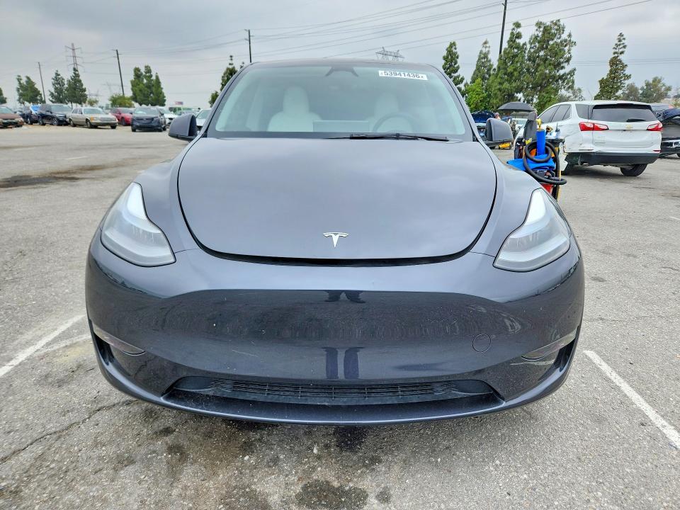 Продаж на аукціоні авто 2024 Tesla Model Y, vin: 7SAYGDEF3RF024491, номер лоту: 53941436