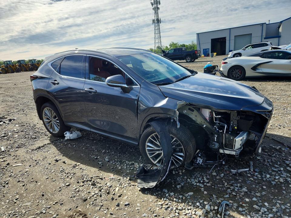 Aukcja sprzedaży 2025 Lexus Nx, vin: 2T2GGCEZ5SC092925, numer aukcji: 54806796