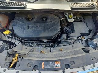 Продаж на аукціоні авто 2019 Ford Escape, vin: 1FMCU9J90KUA21120, номер лоту: 52570696