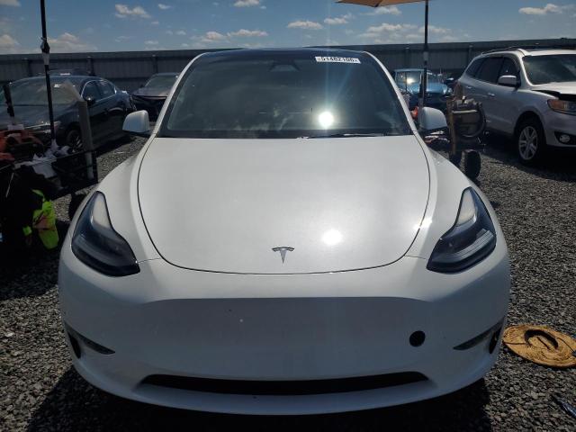 Продаж на аукціоні авто 2024 Tesla Model Y, vin: 7SAYGDED7RA329326, номер лоту: 51482106