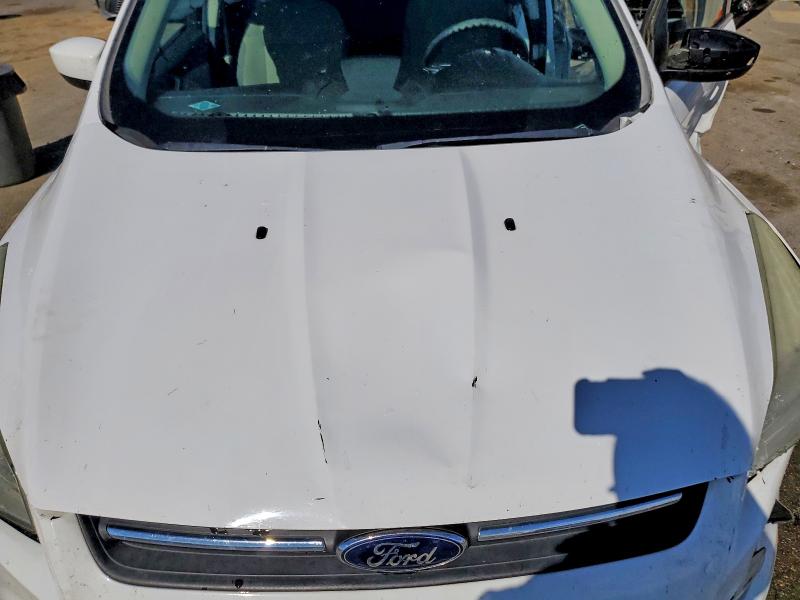 52672796 :رقم المزاد ، 1FMCU9G99EUB46810 vin ، 2014 Ford Escape مزاد بيع