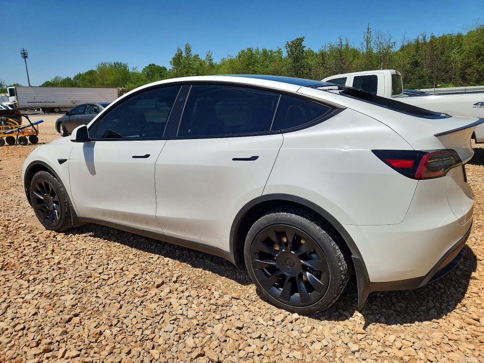 Aukcja sprzedaży 2024 Tesla Model Y, vin: 7SAYGDEE9RF160566, numer aukcji: 52022016