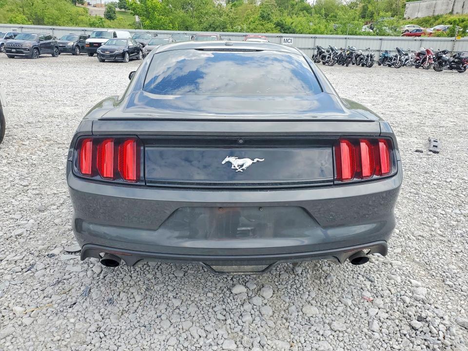 Продаж на аукціоні авто 2017 Ford Mustang, vin: 1FA6P8TH4H5295243, номер лоту: 52125986