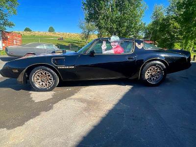 Продаж на аукціоні авто 1981 Pontiac Firebird, vin: 1G2AW87W5BL105229, номер лоту: 52780396
