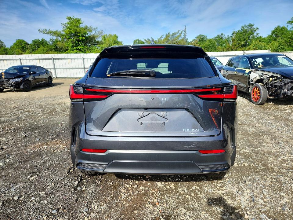 Aukcja sprzedaży 2025 Lexus Nx, vin: 2T2GGCEZ5SC092925, numer aukcji: 54806796