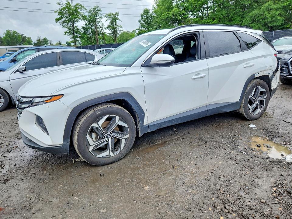 Продажа на аукционе авто 2024 Hyundai Tucson, vin: 5NMJF3DE0RH366628, номер лота: 54868026