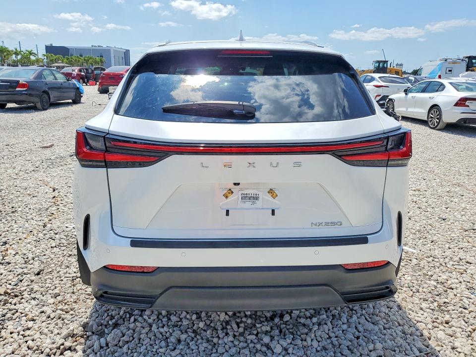 Aukcja sprzedaży 2025 Lexus Nx 250, vin: 2T2ADCAZ0SC028005, numer aukcji: 52028096