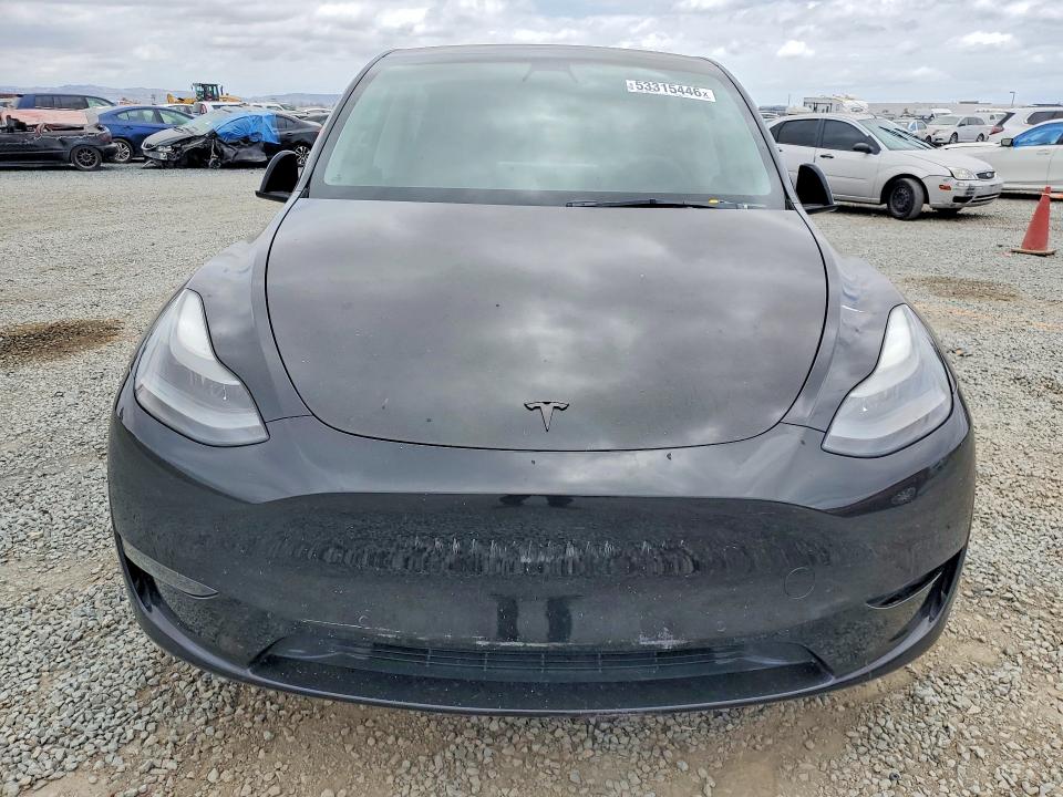 53315446 :رقم المزاد ، 5YJYGDEF8MF137665 vin ، 2021 Tesla Model Y مزاد بيع