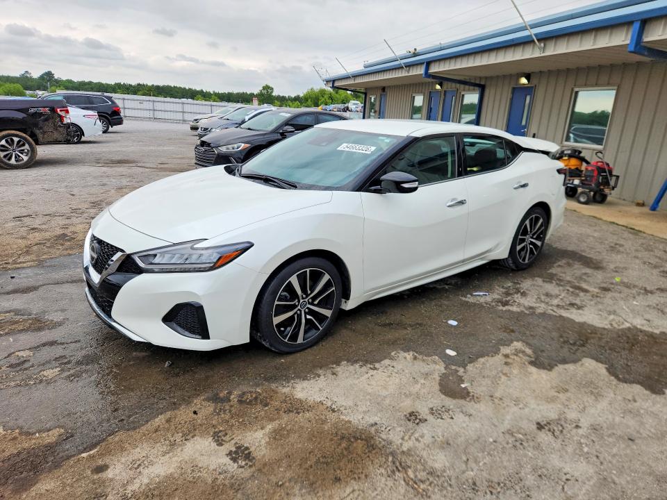 Auction sale of the 2023 Nissan Maxima, vin: 1N4AA6CV9PC509112, lot number: 54663326