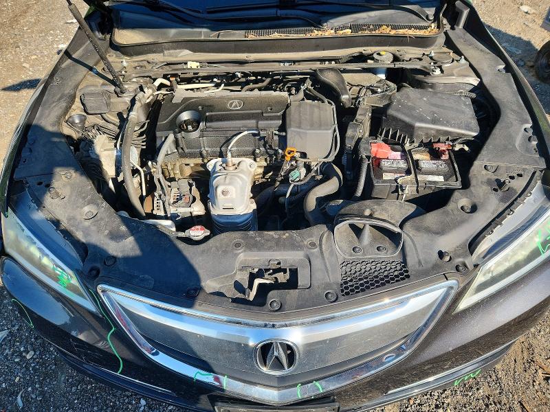 53905746 :رقم المزاد ، 19UUB1F36FA025752 vin ، 2015 Acura Tlx مزاد بيع