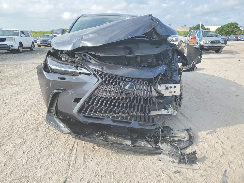 Aukcja sprzedaży 2024 Lexus Nx, vin: 2T2HGCEZ5RC058773, numer aukcji: 53177386