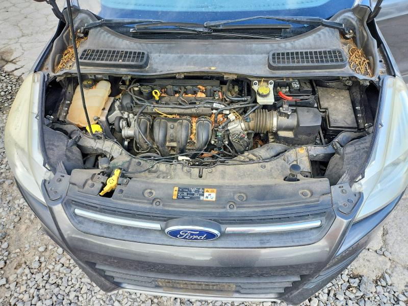 2016 Ford Escape მანქანა იყიდება აუქციონზე, vin: 1FMCU0G7XGUA35678, აუქციონის ნომერი: 54137846