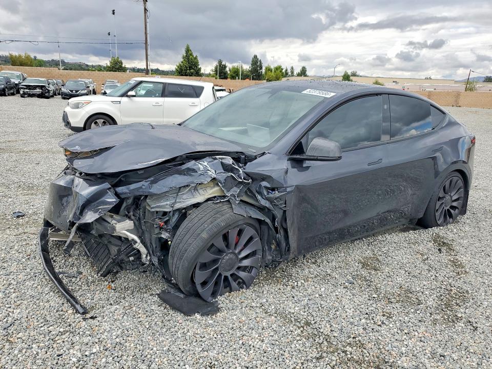Продаж на аукціоні авто 2024 Tesla Model Y, vin: 7SAYGDEF3RF066031, номер лоту: 52379586
