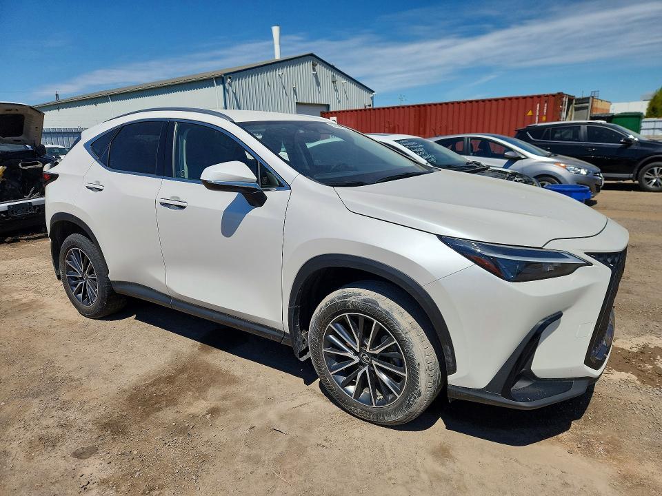 Aukcja sprzedaży 2022 Lexus Nx, vin: JTJAKCEZ5N5002244, numer aukcji: 55000966