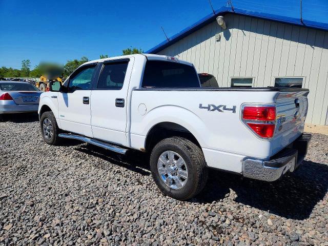 Auction sale of the 2011 Ford F150, vin: 1FTFW1ET0BFC37900, lot number: 53743536