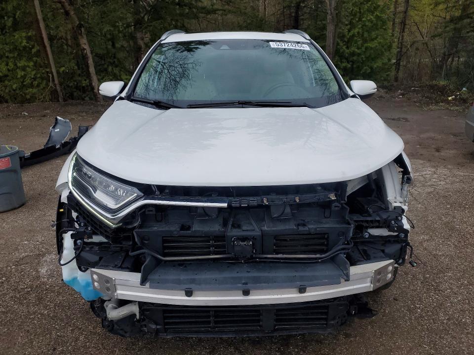 53724266 :رقم المزاد ، 2HKRW2H99KH133897 vin ، 2019 Honda Cr-v مزاد بيع