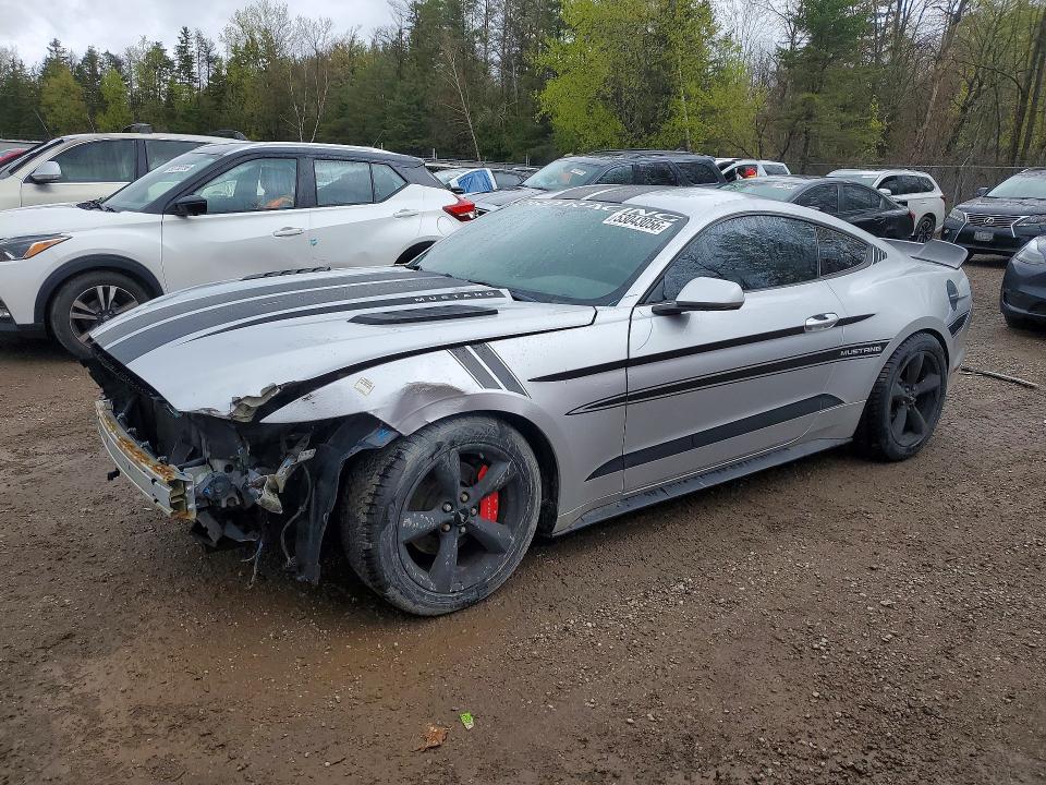 53043056 :رقم المزاد ، 1FA6P8AMXG5324940 vin ، 2016 Ford Mustang مزاد بيع