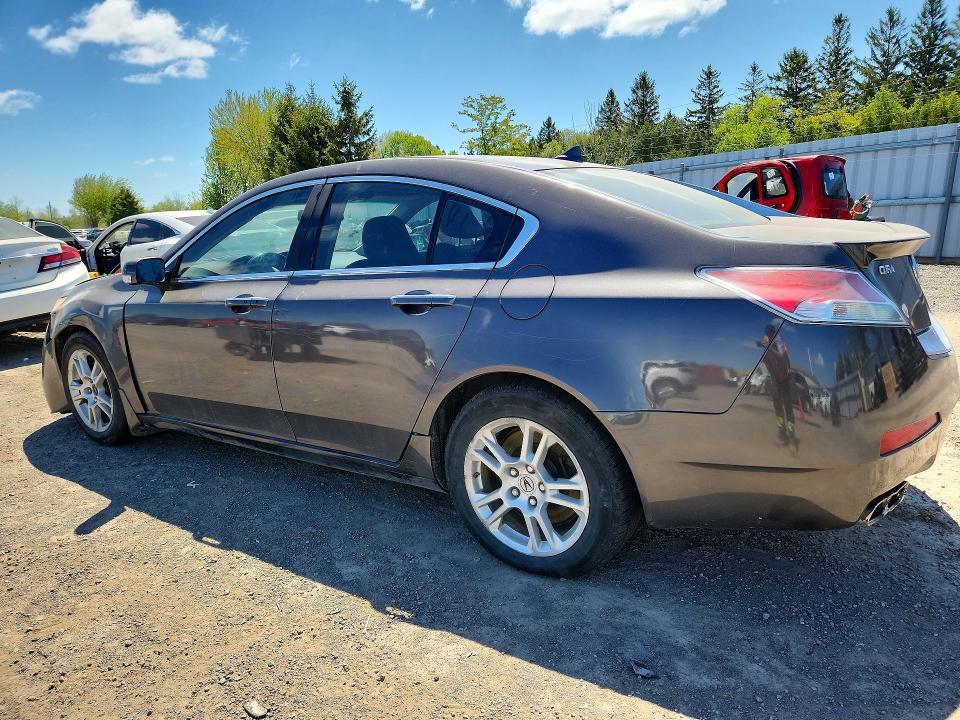 53389526 :رقم المزاد ، 19UUA96579A801703 vin ، 2009 Acura Tl مزاد بيع