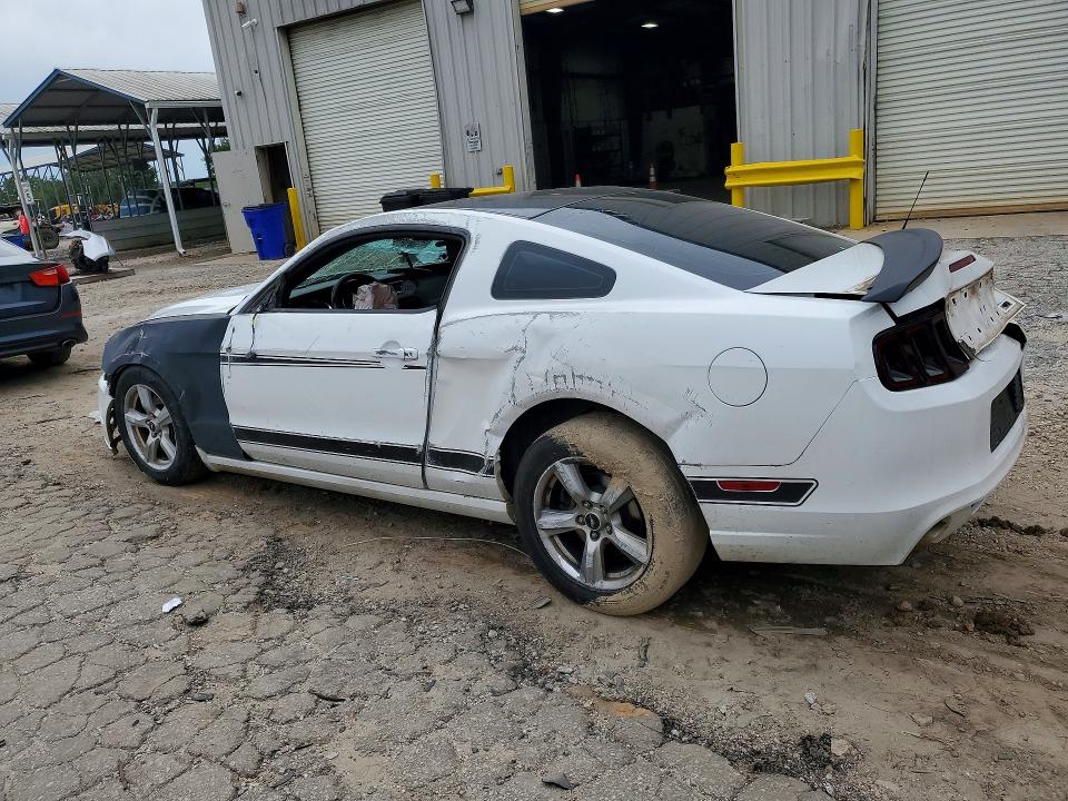 Auction sale of the 2014 Ford Mustang, vin: 1ZVBP8AM9E5332417, lot number: 51944266
