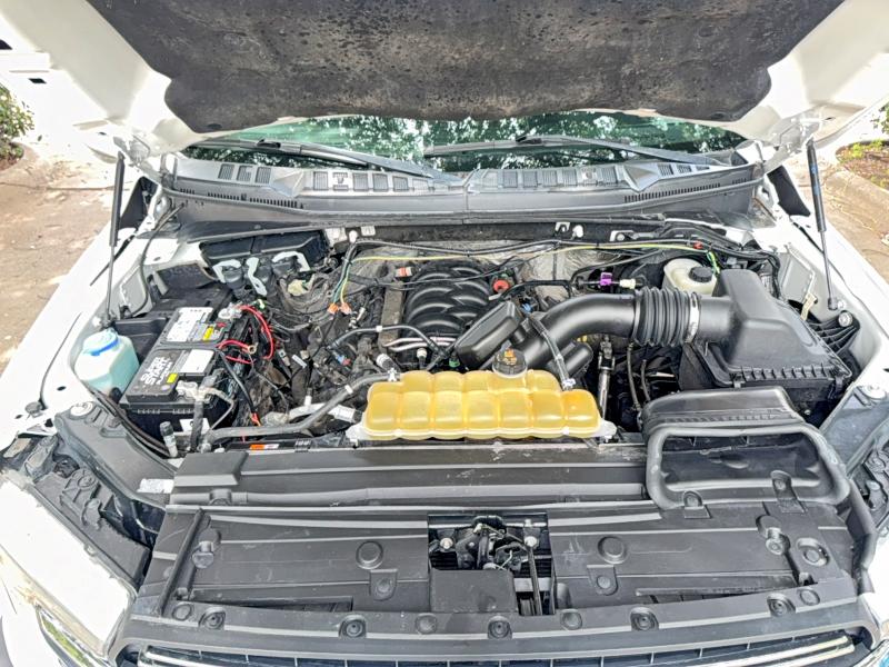 Aukcja sprzedaży 2019 Ford F150, vin: 1FTEW1E53KKD04901, numer aukcji: 55780916