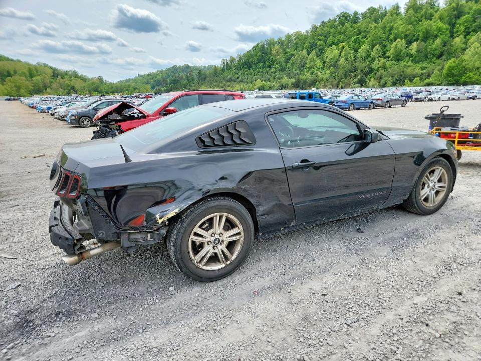 52402996 :رقم المزاد ، 1ZVBP8AM0E5254044 vin ، 2014 Ford Mustang مزاد بيع