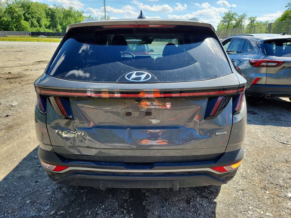 Продажа на аукционе авто 2024 Hyundai Tucson, vin: 5NMJFCDEXRH309224, номер лота: 55343626