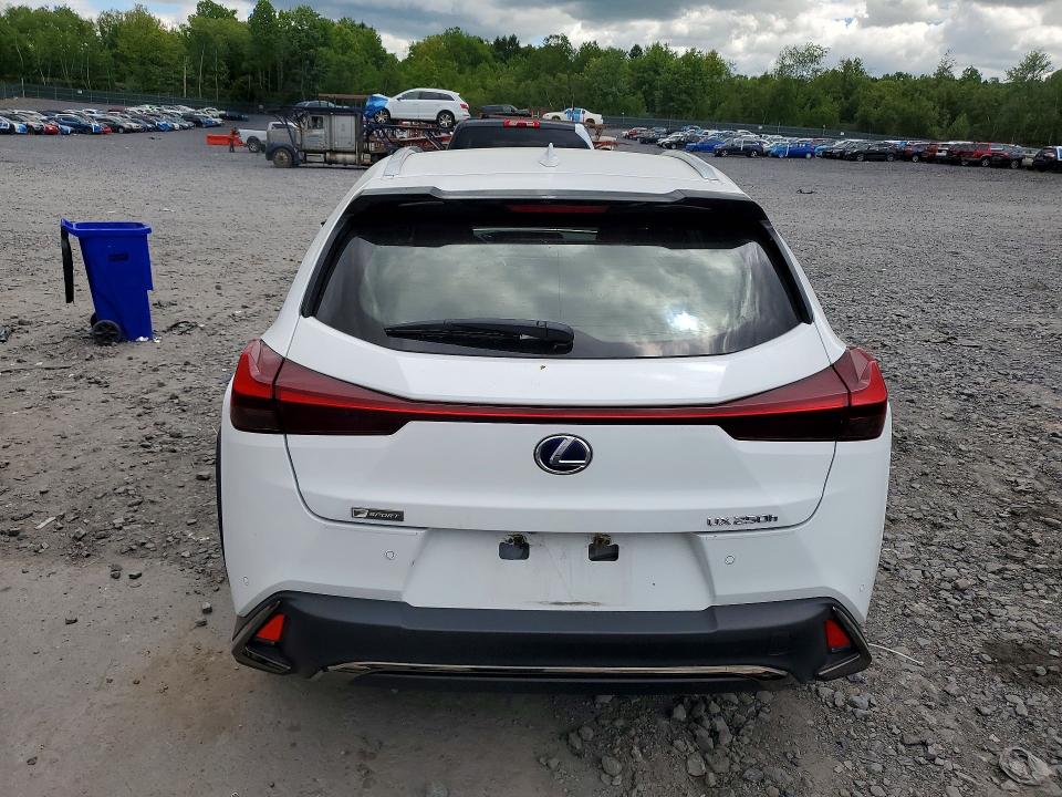Aukcja sprzedaży 2019 Lexus Ux, vin: JTHU9JBH2K2006114, numer aukcji: 55157606