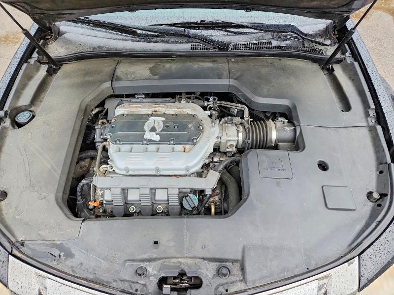 Продаж на аукціоні авто 2010 Acura Tl, vin: 19UUA9F57AA002315, номер лоту: 51541256