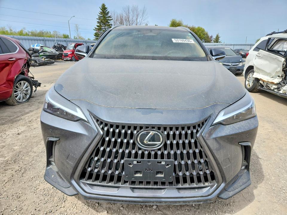 Продажа на аукционе авто 2026 Lexus Nx 350, vin: 2T2GGCEZ8TC096887, номер лота: 53166436
