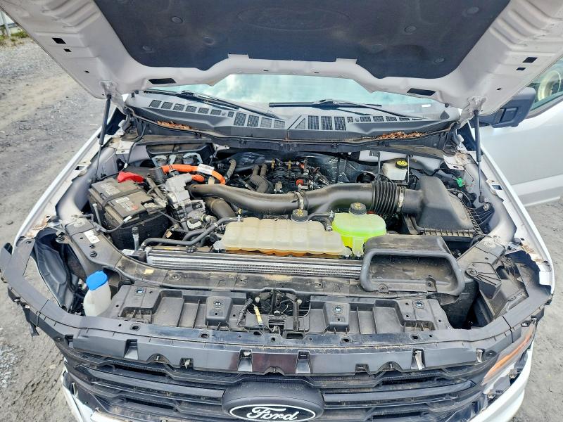 Продажа на аукционе авто 2024 Ford F150, vin: 1FTFW3LD1RFA49436, номер лота: 52873806