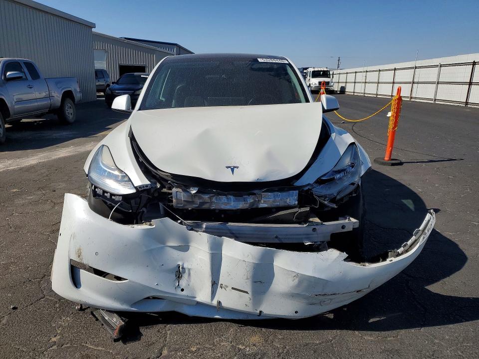 53269446 :رقم المزاد ، 5YJYGDEE9MF214955 vin ، 2021 Tesla Model Y مزاد بيع