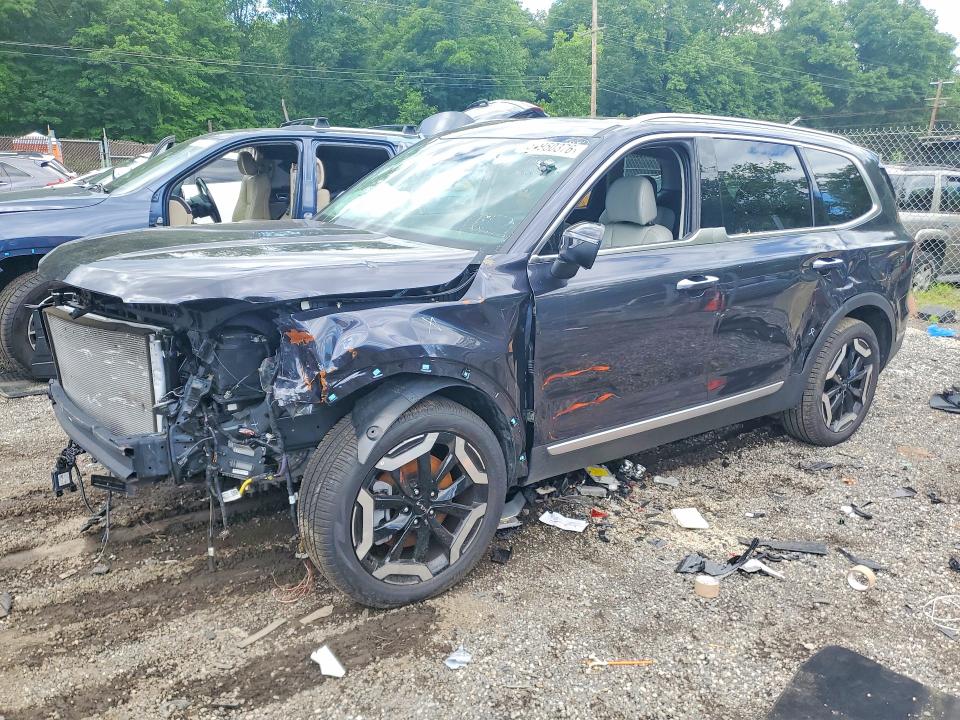Продажа на аукционе авто 2025 Kia Telluride, vin: 5XYP6DGC1SG677835, номер лота: 54950376