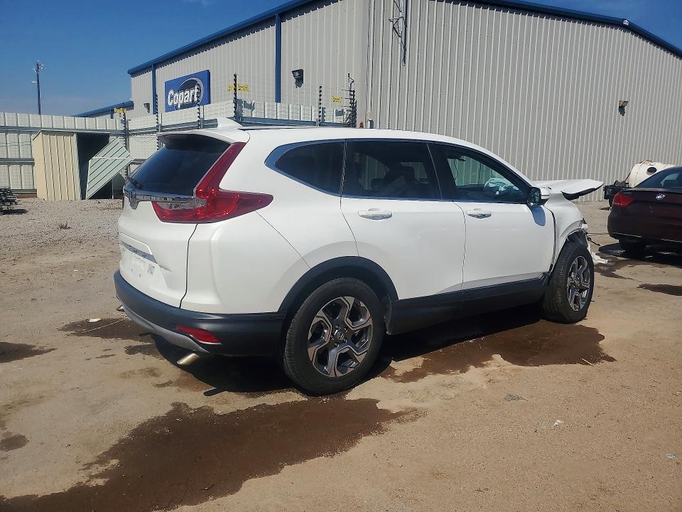 52231406 :رقم المزاد ، 2HKRW1H53KH511834 vin ، 2019 Honda Cr-v مزاد بيع