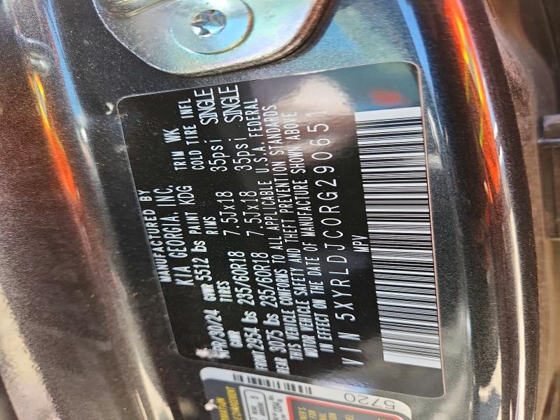 Продажа на аукционе авто 2024 Kia Sorento, vin: 5XYRLDJC0RG290651, номер лота: 53045506