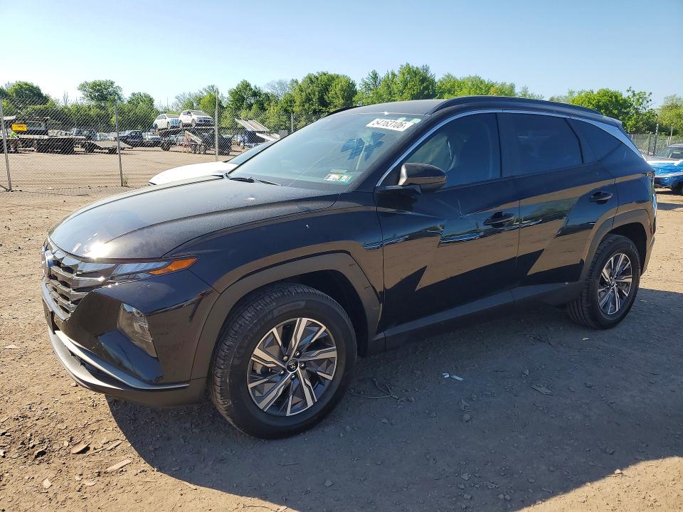 Продаж на аукціоні авто 2024 Hyundai Tucson, vin: KM8JBCD10RU172355, номер лоту: 54163106
