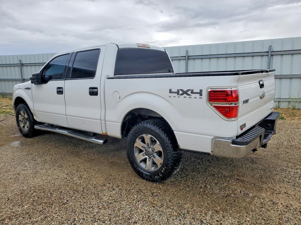2011 Ford F150 მანქანა იყიდება აუქციონზე, vin: 1FTFW1EF3BFD27780, აუქციონის ნომერი: 54881026