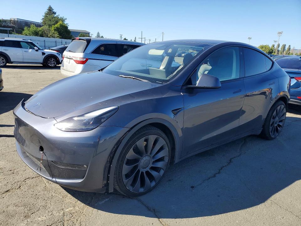 Продаж на аукціоні авто 2023 Tesla Model Y, vin: 7SAYGDEF4PF767139, номер лоту: 53590606