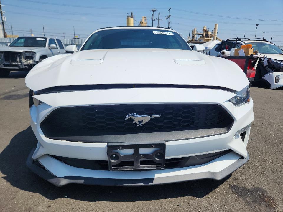 Продажа на аукционе авто 2019 Ford Mustang, vin: 1FATP8UH7K5181617, номер лота: 53588026